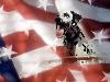Dalmation on Flag